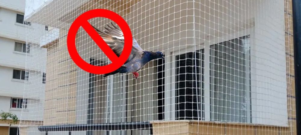 Balcony Safety Nets Services | Pigeon Nets Installation
