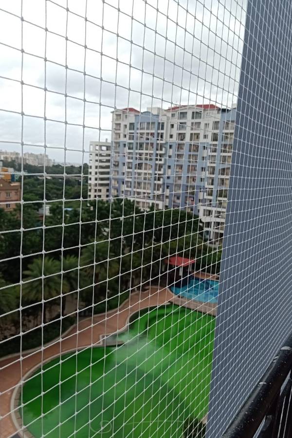 Pigeon Nets Installation in Hyderabad | Call us Now 9505258059